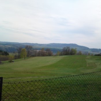 thumbnail petsitter Držkov nebo páníček pro psi kočky