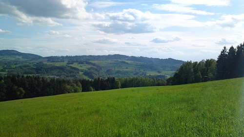 Monika- petsitter Držkov nebo Páníček pro psi kočky