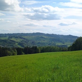 thumbnail petsitter Držkov nebo páníček pro psi kočky