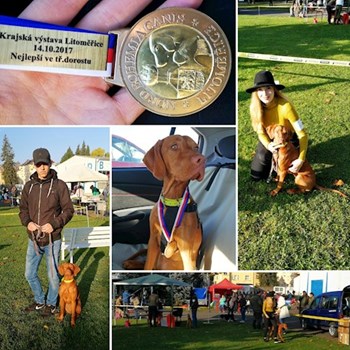 thumbnail petsitter Karlovy Vary or pet nanny for dogs cats