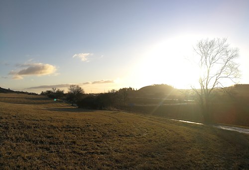 Tereza- petsitter Karlovy Vary or Pet nanny for dogs cats