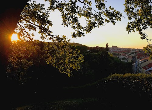 Tereza- petsitter Karlovy Vary or Pet nanny for dogs cats