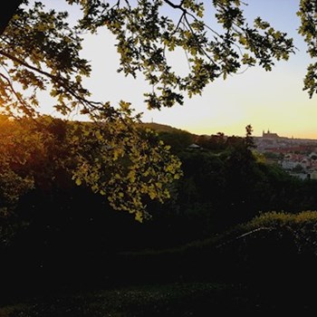 thumbnail petsitter Karlovy Vary or pet nanny for dogs cats