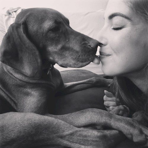 Tereza- petsitter Karlovy Vary or Pet nanny for dogs cats