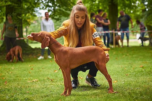 Tereza- petsitter Karlovy Vary or Pet nanny for dogs cats