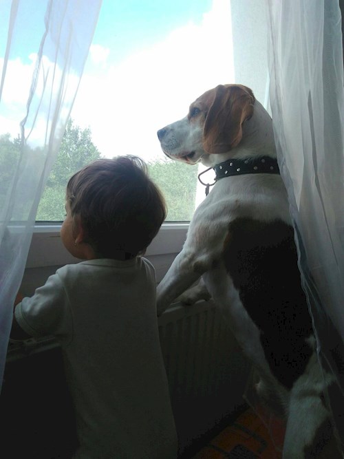 jaroslava- petsitter Plzeň nebo Páníček pro psi