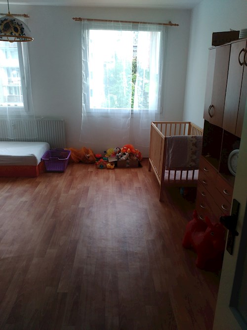 jaroslava- petsitter Plzeň nebo Páníček pro psi