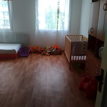 thumbnail petsitter Plzeň nebo páníček pro psi