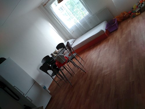 jaroslava- petsitter Plzeň nebo Páníček pro psi