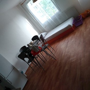 thumbnail petsitter Plzeň nebo páníček pro psi