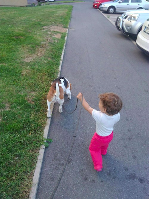 jaroslava- petsitter Plzeň nebo Páníček pro psi