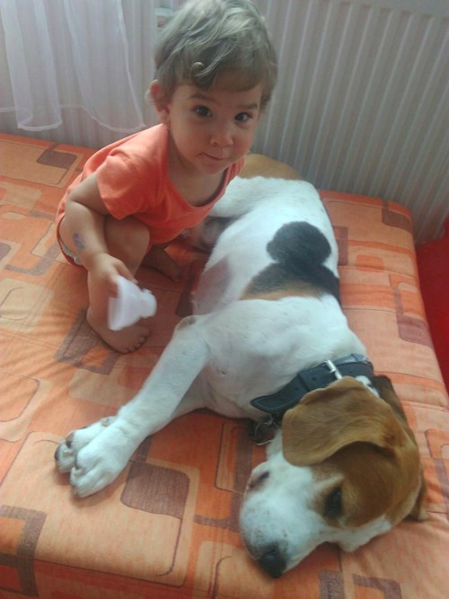 jaroslava- petsitter Plzeň nebo Páníček pro psi