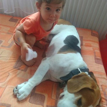 thumbnail petsitter Plzeň nebo páníček pro psi