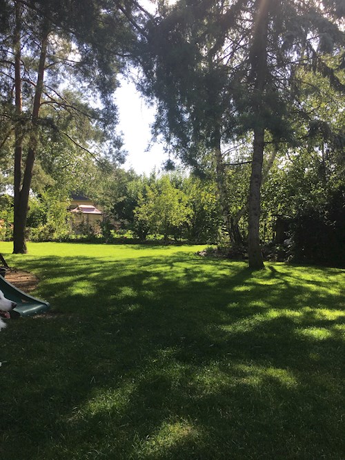 Denisa- petsitter Praha nebo Páníček pro psi