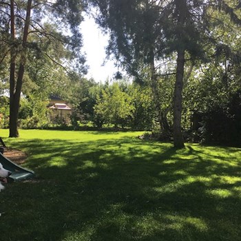 thumbnail petsitter Praha nebo páníček pro psi