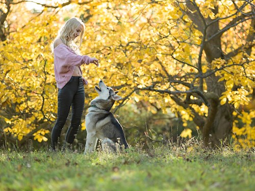 Alena- petsitter Praha 17 or Pet nanny for dogs