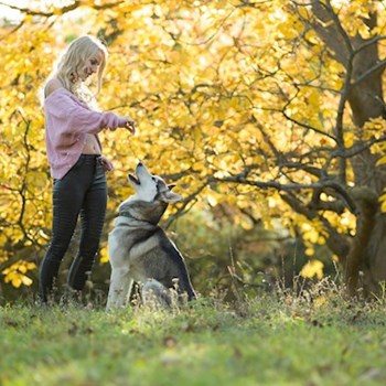 thumbnail petsitter Praha 17 or pet nanny for dogs