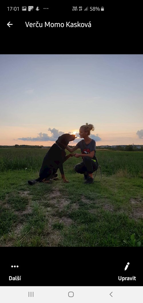 Alena- petsitter Praha 17 or Pet nanny for dogs