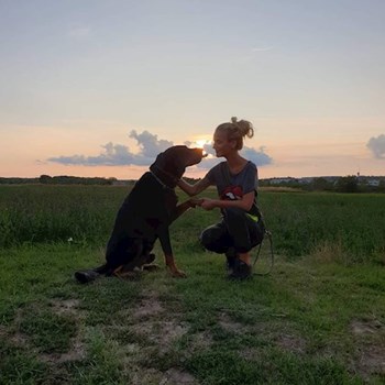 thumbnail petsitter Praha 17 or pet nanny for dogs