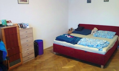 Iva- petsitter Olomouc or Pet nanny for dogs cats