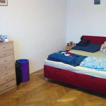 thumbnail petsitter Olomouc or pet nanny for dogs cats