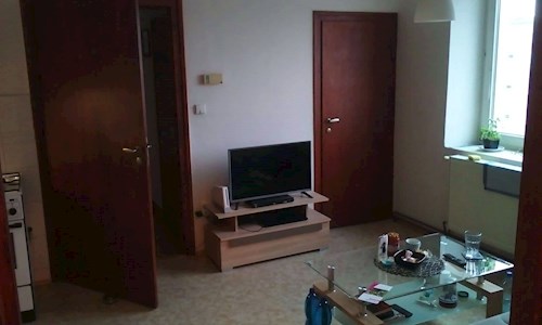 Iva- petsitter Olomouc or Pet nanny for dogs cats