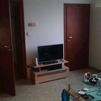 thumbnail petsitter Olomouc or pet nanny for dogs cats