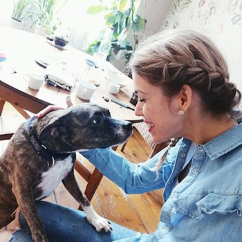 thumbnail petsitter Praha 2 or pet nanny for dogs