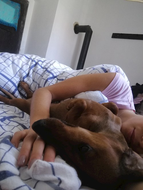 Veronika- petsitter Praha 2 or Pet nanny for dogs