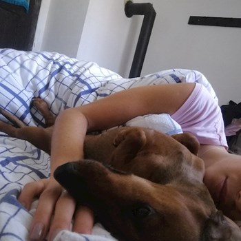 thumbnail petsitter Praha 2 or pet nanny for dogs