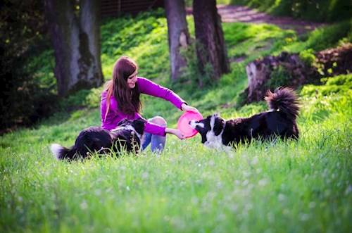 Kateřina- petsitter Jihlava nebo Páníček pro psi
