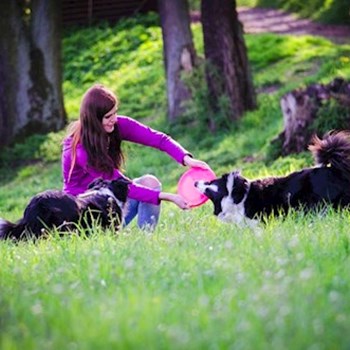 thumbnail petsitter Jihlava nebo páníček pro psi