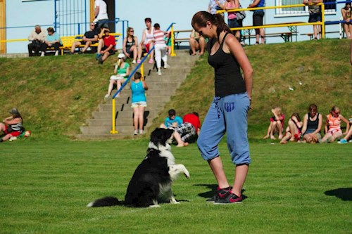 Kateřina- petsitter Jihlava nebo Páníček pro psi