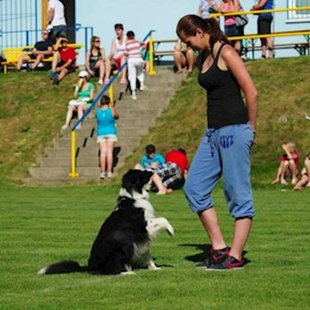 thumbnail petsitter Jihlava nebo páníček pro psi