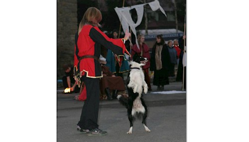 Kateřina- petsitter Jihlava nebo Páníček pro psi