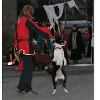 thumbnail petsitter Jihlava nebo páníček pro psi