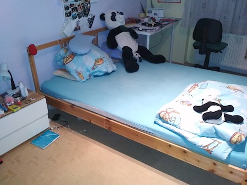 Monika- petsitter Brno-Židenice nebo Páníček pro psi