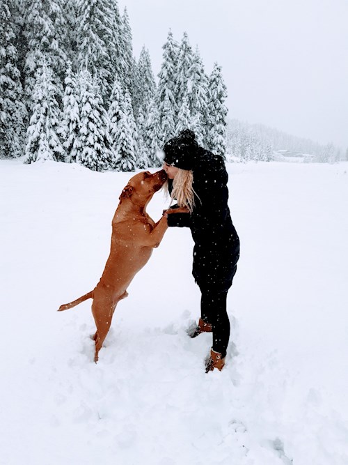 Kateřina- petsitter Praha 8 or Pet nanny for dogs