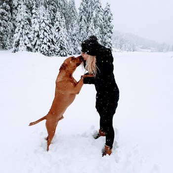 thumbnail petsitter Praha 8 or pet nanny for dogs