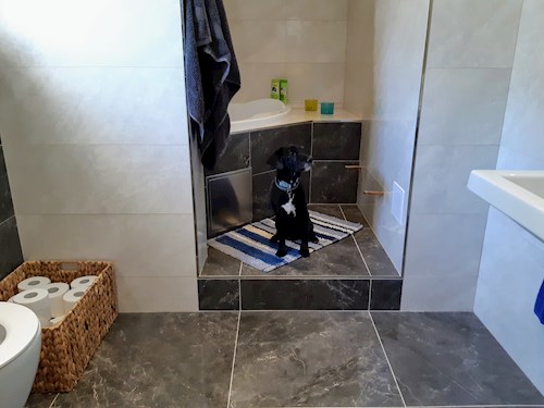 Kateřina- petsitter Praha 8 or Pet nanny for dogs