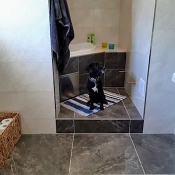 thumbnail petsitter Praha 8 or pet nanny for dogs