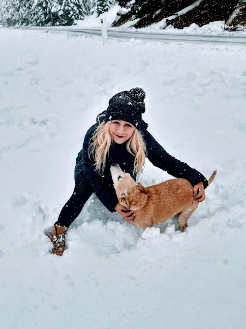 Kateřina- petsitter Praha 8 or Pet nanny for dogs