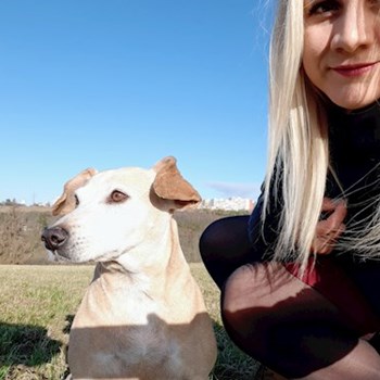 thumbnail petsitter Praha 8 or pet nanny for dogs