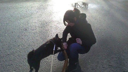 Lucie- petsitter Štáblovice nebo Páníček pro psi kočky