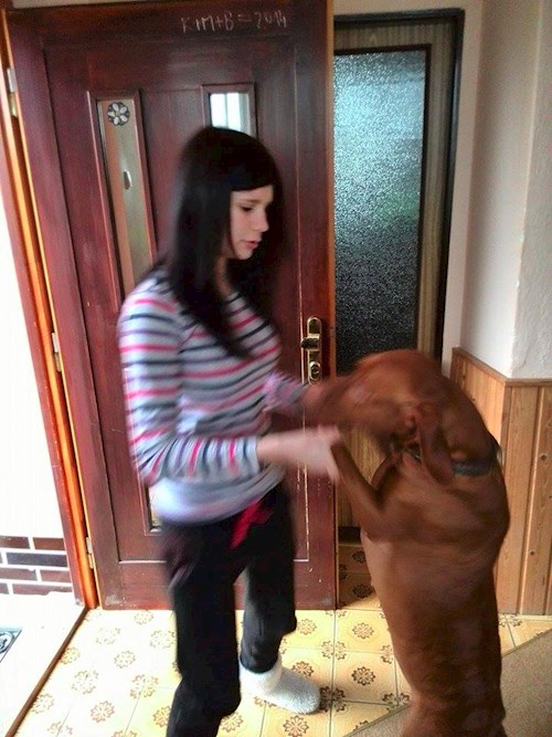 Lucie- petsitter Štáblovice nebo Páníček pro psi kočky