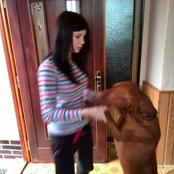 thumbnail petsitter Štáblovice nebo páníček pro psi kočky