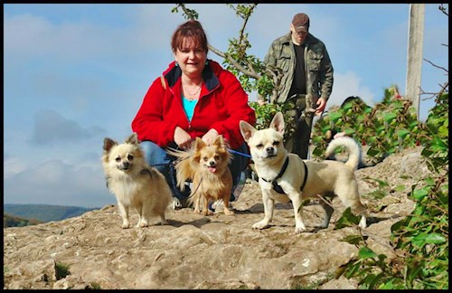 Šárka- petsitter Kozolupy or Pet nanny for dogs cats