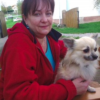 thumbnail petsitter Kozolupy or pet nanny for dogs cats