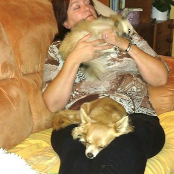 thumbnail petsitter Kozolupy or pet nanny for dogs cats