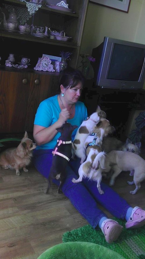 Šárka- petsitter Kozolupy or Pet nanny for dogs cats